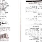 معرفی و دانلود کتاب پرستاری و بهداشت مادران و نوزادان میترا ذوالفقاری PDF