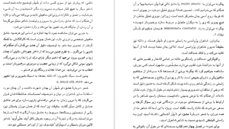 معرفی و دانلود کتاب زندگانی نو دانته آلیگیری 243صفحه PDF