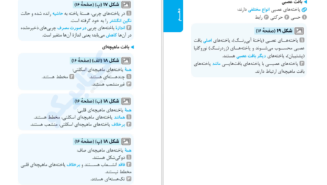 معرفی و دانلود کتاب عبارت های کلیدی زیست کنکور 333 صفحه PDF