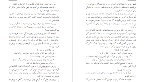 معرفی و دانلود کتاب سرزمین جمیله احمد ضیا سیامک هروی 413 صفحه PDF