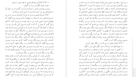 معرفی و دانلود کتاب سرزمین جمیله احمد ضیا سیامک هروی 413 صفحه PDF