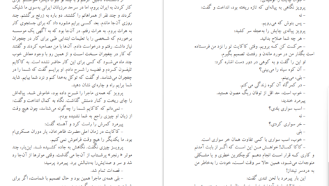معرفی و دانلود کتاب سرزمین جمیله احمد ضیا سیامک هروی 413 صفحه PDF