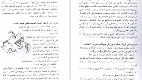 معرفی و دانلود کتاب سوال های چند هزار ساله 1 استیون لو 102 صفحه PDF
