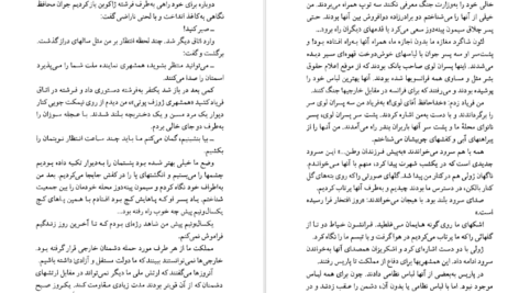 معرفی و دانلود پی دی اف کتاب دزیره آن ماری سلینکو PDF