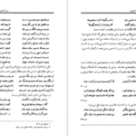 معرفی و دانلود کتاب شاهدبازی در ادبیات فارسی سیروس شمیسا 278 صفحه PDF