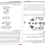 معرفی و دانلود کتاب ژنتیک از کلاسیک تا ژنومیک دکتر اکرمی 541 صفحه PDF
