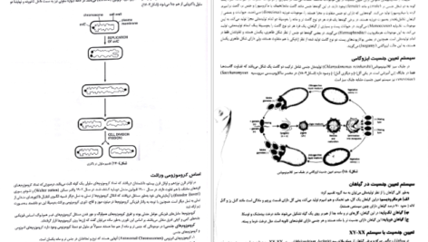 معرفی و دانلود کتاب ژنتیک از کلاسیک تا ژنومیک دکتر اکرمی 541 صفحه PDF