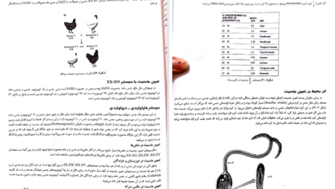 معرفی و دانلود کتاب ژنتیک از کلاسیک تا ژنومیک دکتر اکرمی 541 صفحه PDF