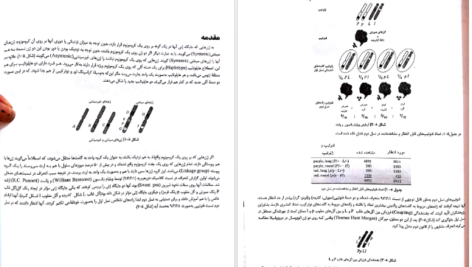 معرفی و دانلود کتاب ژنتیک از کلاسیک تا ژنومیک دکتر اکرمی 541 صفحه PDF