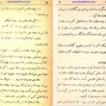 معرفی و دانلود کتاب سیاحت نامه عزیز نسین 238 صفحه PDF