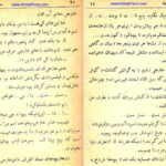 معرفی و دانلود کتاب سیاحت نامه عزیز نسین 238 صفحه PDF
