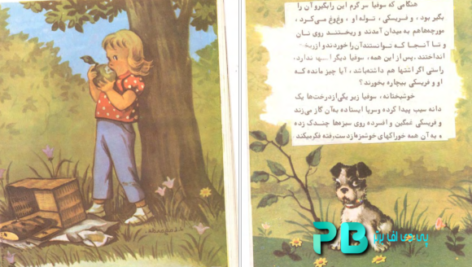 معرفی و دانلود کتاب سوفیا و سورچانی در بیرون از شهر 19 صفحه PDF