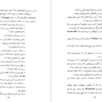 معرفی و دانلود کتاب سنگواره های انسان عصر حجر دکتر روبر ژولین 527 صفحه PDF