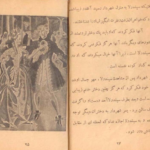 معرفی و دانلود کتاب سیندرلا اثر ورا ساتگیت 25 صفحه PDF