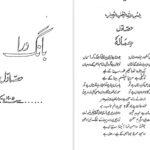 معرفی و دانلود کتاب بانگ درا علامه اقبال 229 صفحه PDF