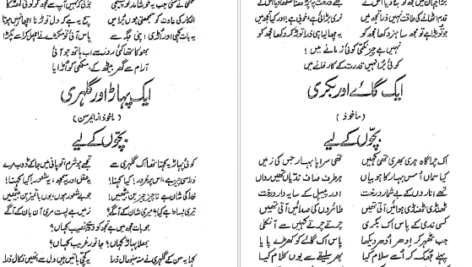 معرفی و دانلود کتاب بانگ درا علامه اقبال 229 صفحه PDF