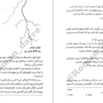 معرفی و دانلود کتاب مایکل وی شکار اژدهای یشمی جلد 4 ریچارد پل ایوانز 378 صفحه PDF