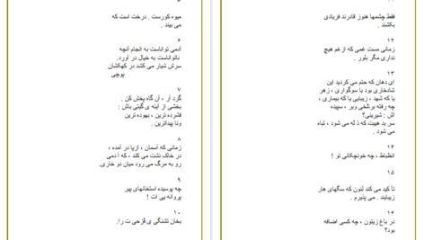 معرفی و دانلود کتاب کرکره های کشیده چاک چاک رنه شار 31 صفحه PDF