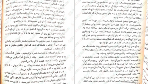 معرفی و دانلود کتاب گرگ های پوشالی لارن ولک 278 صفحه PDF