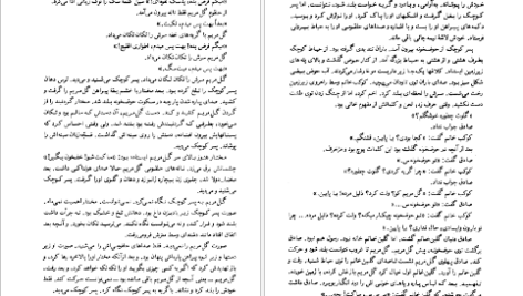 معرفی و دانلود کتاب دل کور اسماعیل فصیح 335 صفحه PDF