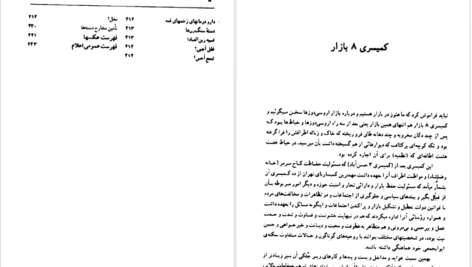 معرفی و دانلود کتاب طهران قدیم جلد 2 جعفر شهری 474 صفحه PDF