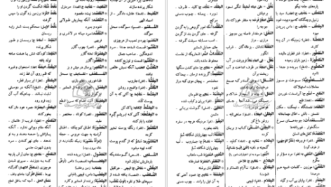 معرفی و دانلود کتاب فرهنگ دانشگاهی المنجد الابجدی 953 صفحه PDF