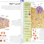 معرفی و دانلود کتاب فرهنگ نامه نجوم و فضا پوریا ناظمی 325 صفحه PDF