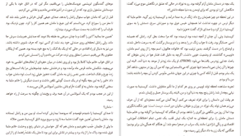 معرفی و دانلود کتاب کار های بزرگ اما کوچک جودی پیکولت 541 صفحه PDF