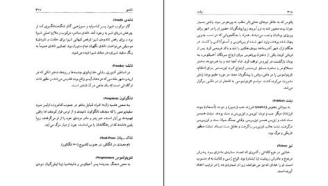 معرفی و دانلود کتاب فرهنگ غرایب جلد ۲ سودابه فضایلی 603 صفحه PDF