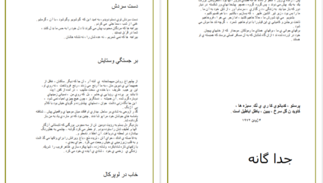 معرفی و دانلود کتاب کرکره های کشیده چاک چاک رنه شار 31 صفحه PDF