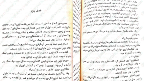 معرفی و دانلود کتاب گرگ های پوشالی لارن ولک 278 صفحه PDF