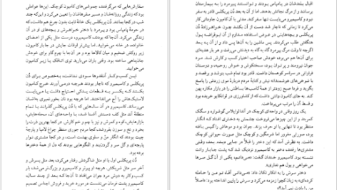 معرفی و دانلود کتاب مرگ در آند ماریو بارگاس یوسا 323 صفحه PDF