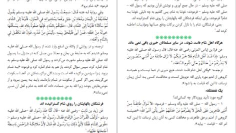معرفی و دانلود کتاب فضائل فلسطین و مسجد اقصی شاکرالذهبی 208 صفحه PDF
