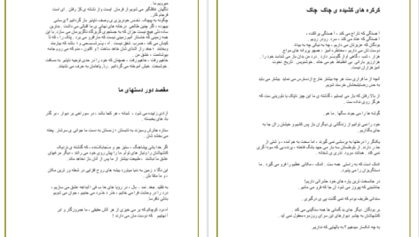 معرفی و دانلود کتاب کرکره های کشیده چاک چاک رنه شار 31 صفحه PDF