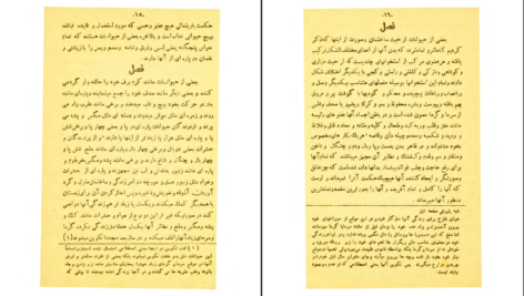 معرفی و دانلود کتاب محاکمه انسان و حیوان اخوان الصفا 235 صفحه PDF