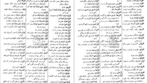 معرفی و دانلود کتاب فرهنگ دانشگاهی المنجد الابجدی 953 صفحه PDF