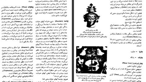 معرفی و دانلود کتاب فرهنگ مصور نمادهای سنتی جی سی کوپر 503 صفحه PDF