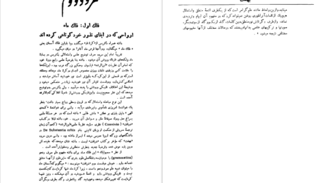 معرفی و دانلود کتاب کمدی الهی دانته آلیگیری 665 صفحه PDF