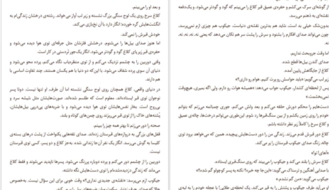 معرفی و دانلود کتاب کلاغ سرخ ویکتوریا شواب 194 صفحه PDF