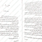 معرفی و دانلود کتاب گرگ های پوشالی لارن ولک 278 صفحه PDF