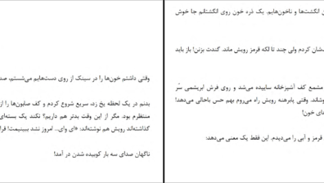 معرفی و دانلود کتاب مزاحم نشو فریدا مک فادن 499 صفحه PDF