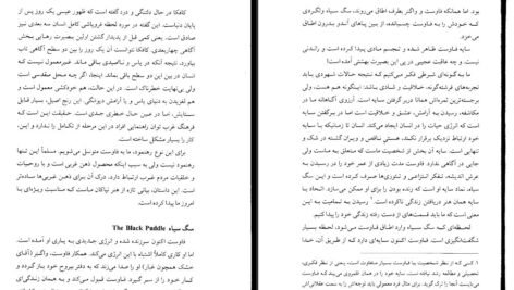 معرفی و دانلود کتاب تکامل آگاهی رابرت جانسون77 صفحه PDF