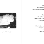 معرفی و دانلود کتاب آتش نهفته بایزید بسطامی 411 صفحه PDF