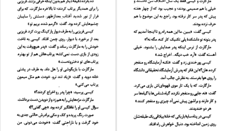 معرفی و دانلود کتاب به زیرزمین نزدیک نشو آر. ال. استاین 172 صفحه PDF