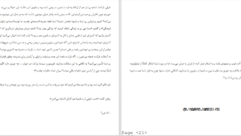 معرفی و دانلود کتاب خاطرات سفیر نیلوفر شادمهری 140 صفحه PDF