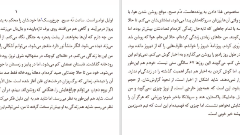 معرفی و دانلود کتاب به هوای دزدیدن اسب‌ها پر پترسون 318 صفحه PDF