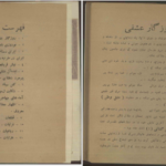 معرفی و دانلود کتاب دیوان عشقی سلیمی 102 صفحه PDF