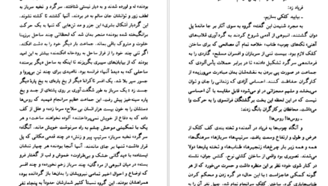 معرفی و دانلود کتاب فاجعه در کرانه دریا انوره دو بالزاک 252 صفحه PDF