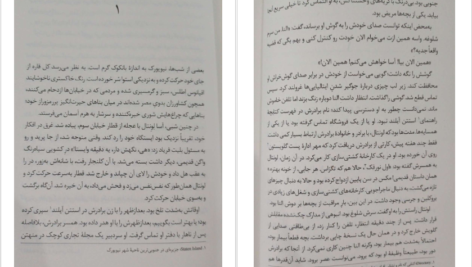 معرفی و دانلود کتاب هذیان‌های ذهن یک قربانی سال بلو 317 صفحه PDF
