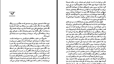 معرفی و دانلود کتاب قصه های مجید هوشنگ مرادی کرمانی 683 صفحه PDF